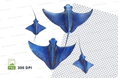Blue spotted stingrays Product Image 1