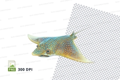 Eagle ray clipart Product Image 1