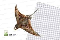 Eagle ray clipart Product Image 1