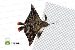 Clipart of a butterflyfish Product Image 1
