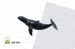 Sperm whale clipart Product Image 1