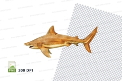 Clipart of a shark Product Image 1