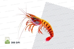Vibrant shrimp clipart Product Image 1