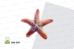 Colorful starfish clipart Product Image 1