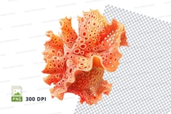 Orange coral clipart Product Image 1