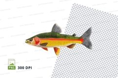 Vibrant fish clipart Product Image 1