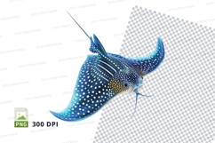 Blue spotted ray fish Product Image 1