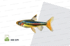 Vibrant tropical fish Product Image 1