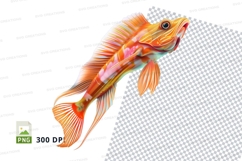 Vibrant orange fish Product Image 1