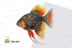 Colorful tropical fish Product Image 1