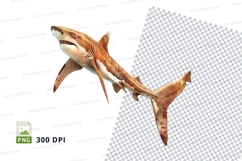 Megalodon shark illustration Product Image 1