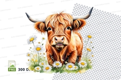 Highland cow in a field of daisies Product Image 1