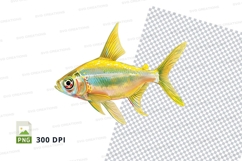 Colorful tropical fish Product Image 1