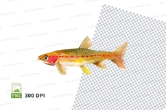 Vibrant fish clipart Product Image 1