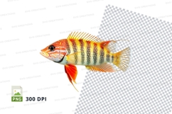 Colorful fish clipart png Product Image 1