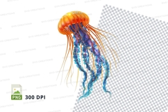 Colorful jellyfish clipart png Product Image 1