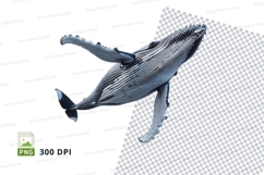 Whale clipart png Product Image 1