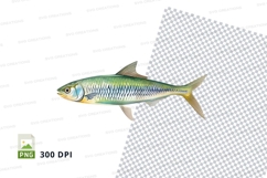 Fish clipart png Product Image 1
