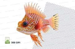 Orange spiny fish clipart png Product Image 1