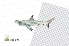 Hammerhead shark clipart png Product Image 1