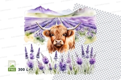 Highland cow in lavender field clipart png Product Image 1
