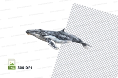 Whale clipart png Product Image 1