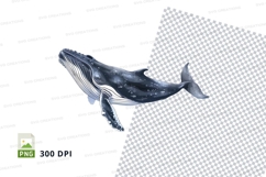 Whale clipart png Product Image 1