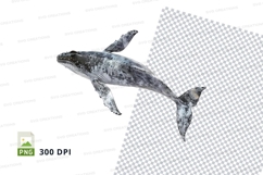 Whale clipart png Product Image 1