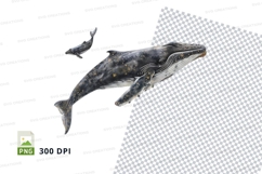 Humpback whale and calf clipart png Product Image 1
