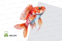 Vibrant fish clipart png Product Image 1