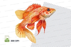 Vibrant red fish clipart png Product Image 1