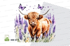 Highland cow in lavender field clipart png Product Image 1