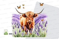 Highland cow in lavender field clipart png Product Image 1