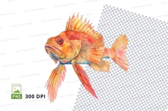 Vibrant orange fish clipart png Product Image 1