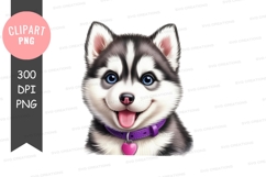 Happy siberian husky puppy Product Image 1