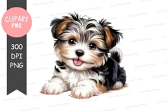Playful biewer terrier puppy clipart png Product Image 1
