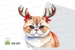 Festive cat Product Image 1