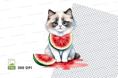 Kitten with watermelon Product Image 1
