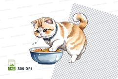 Curious cat eating Product Image 1
