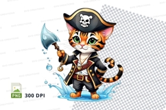 Pirate cat Product Image 1