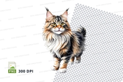 Graceful maine coon cat Product Image 1
