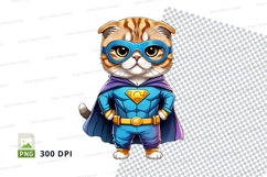 Superhero cat Product Image 1