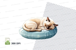 Clipart png of siamese cat sleeping in inflatable ring Product Image 1