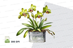 Orchid plant in metal pot mockup Product Image 1