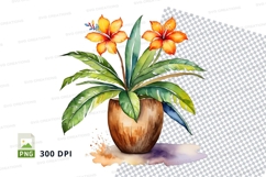 Tropical hibiscus plant in pot clipart png Product Image 1
