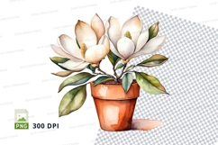 Watercolor magnolia flowers in terracotta pot clipart png Product Image 1