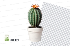 Cactus in white pot clipart png Product Image 1