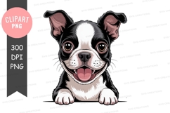 Happy boston terrier puppy clipart png Product Image 1