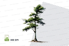 Pine tree clipart png Product Image 1