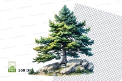 Watercolor pine tree on rock illustration Product Image 1